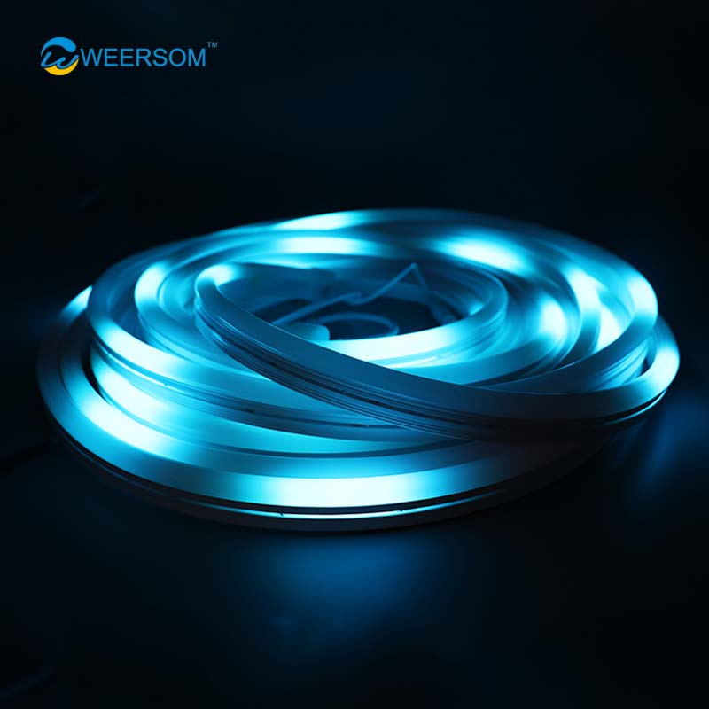 Shenzhen flexible 5v 12v 24v waterproof ip67 9.5*12*22mm led neon strip light